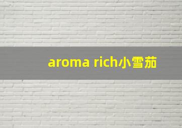 aroma rich小雪茄